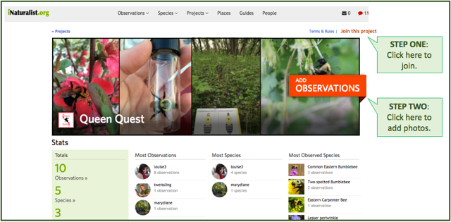 Screenshot of iNaturalist website.